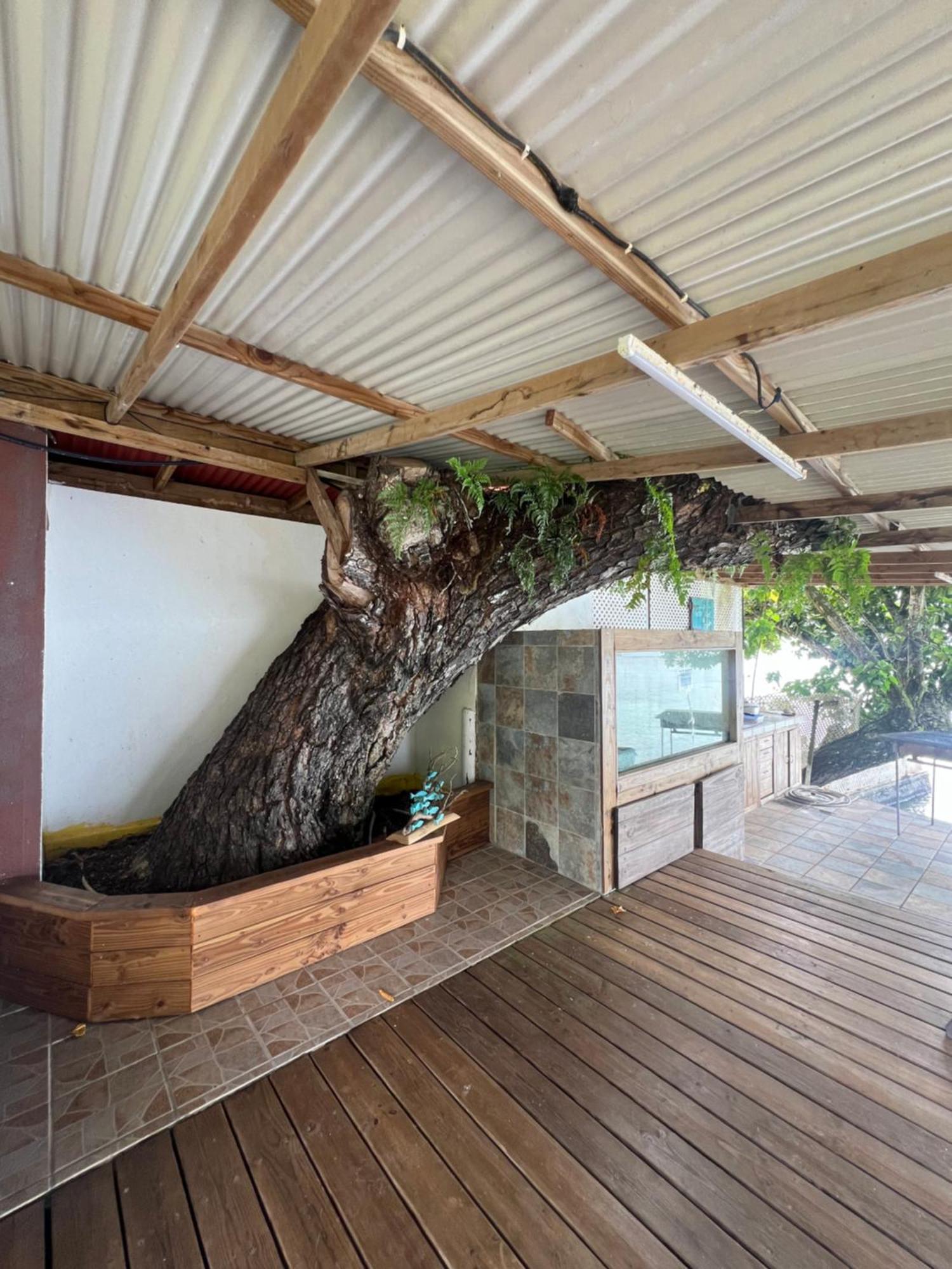 Fare Tetahora Villa Tevaitoa Exteriör bild